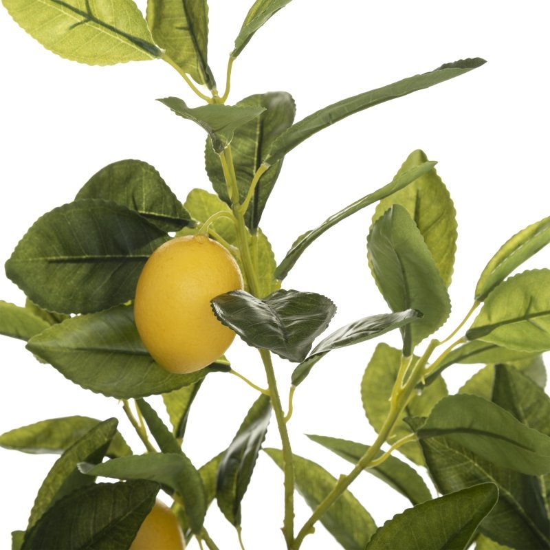 Profumo aspirapolvere Limetta