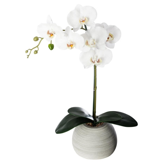 Pianta artificiale orchidea real con vaso in ceramica | Rohome