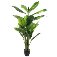 PLANTE ARTIFICIELLE DE BANANIER - H 160CM