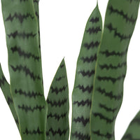 Pianta artificiale Sansevieria con vaso h. 90cm | Rohome