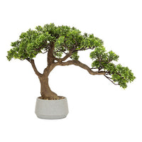 Pianta artificiale Bonsai con vaso| Rohome