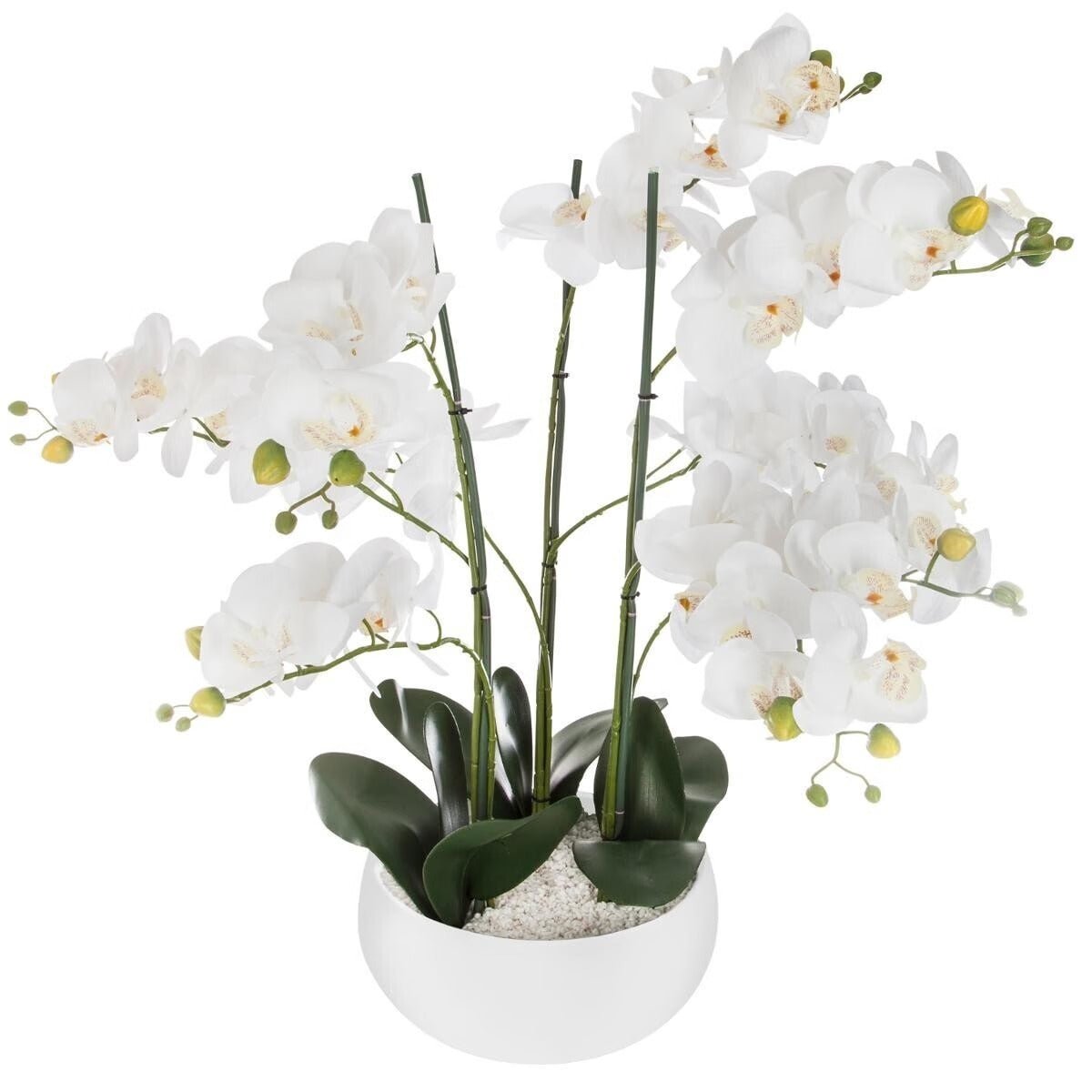 Pianta artificiale orchidea con vaso in ceramica | Rohome - Rohome