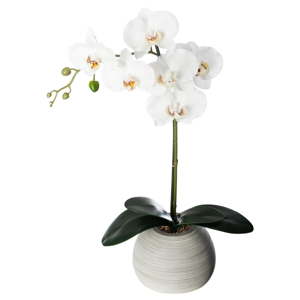 Pianta artificiale orchidea real con vaso in ceramica | Rohome - Rohome