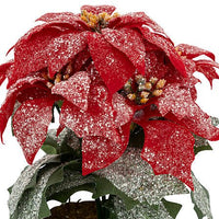 Pianta Stella di Natale, Poinsettia artificiale | Rohome - Rohome