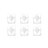 Simple Day - Set 6 Bicchieri fico d'india | Rohome - Rohome