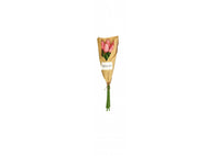 Mazzo di Tulipani real touch rosa 5 boccioli | Rohome