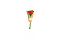 EDG - BOUQUET DE TULIPE BLANCHE | ROHOME