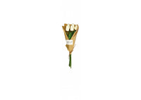 Edg - white tulip bouquet | rohome