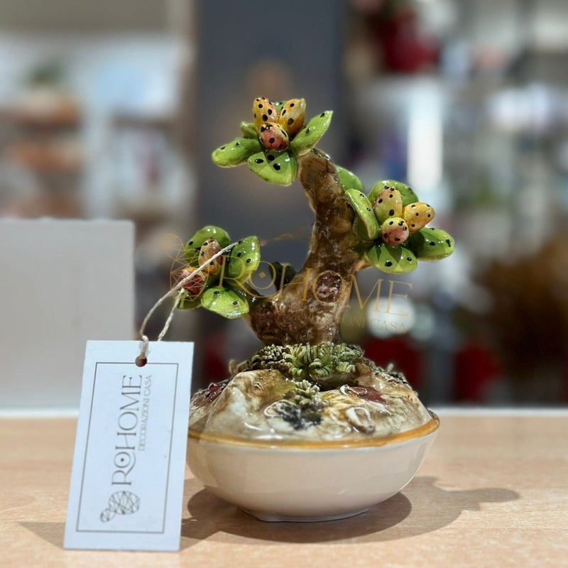 Vasetto bonsai tondo fico d'india in ceramica | rohome - Rohome